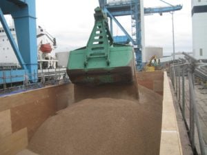 clamshell wood pellets (Large)